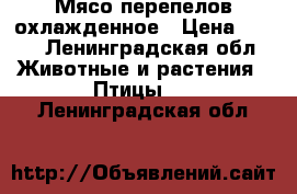 Мясо перепелов охлажденное › Цена ­ 600 - Ленинградская обл. Животные и растения » Птицы   . Ленинградская обл.